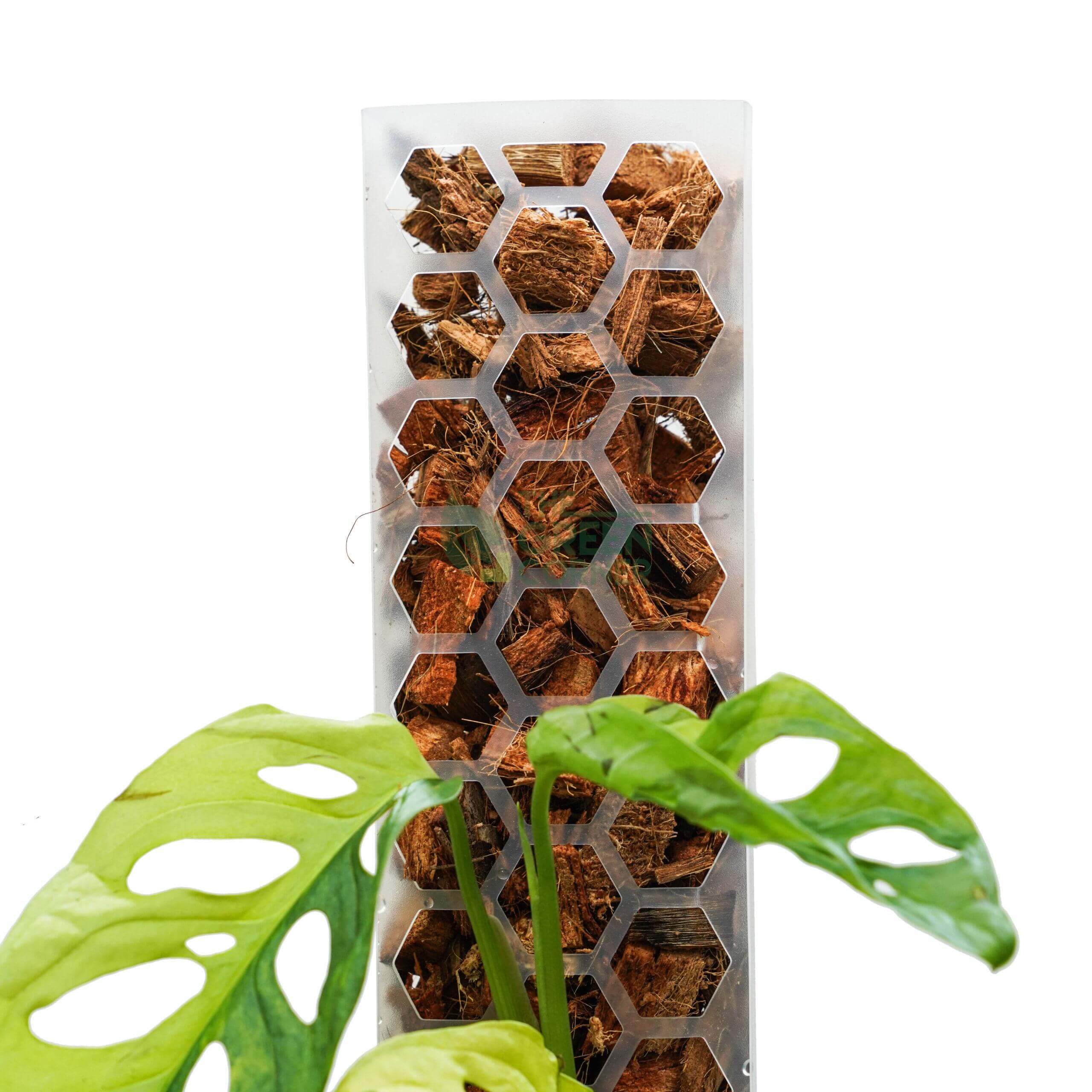 SILLYSOIL The Pole | Gardening Pole | Grow Pole | Support for Aroids Monstera Philodendron