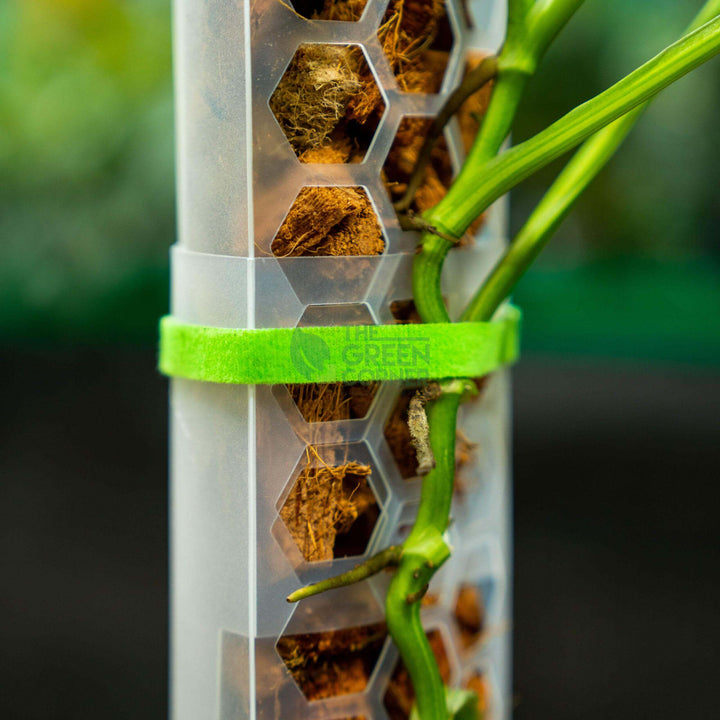 SILLYSOIL The Pole | Gardening Pole | Grow Pole | Support for Aroids Monstera Philodendron