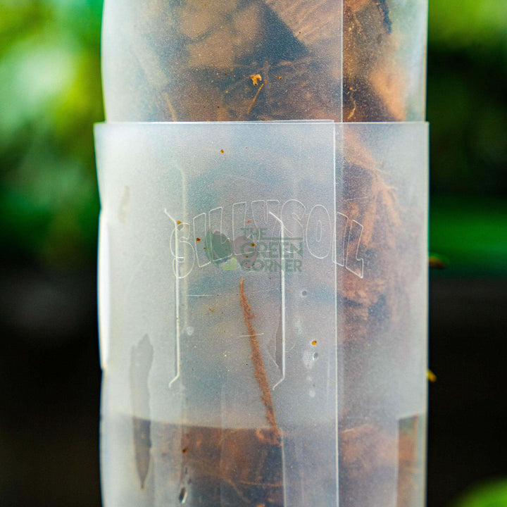 SILLYSOIL The Pole | Gardening Pole | Grow Pole | Support for Aroids Monstera Philodendron