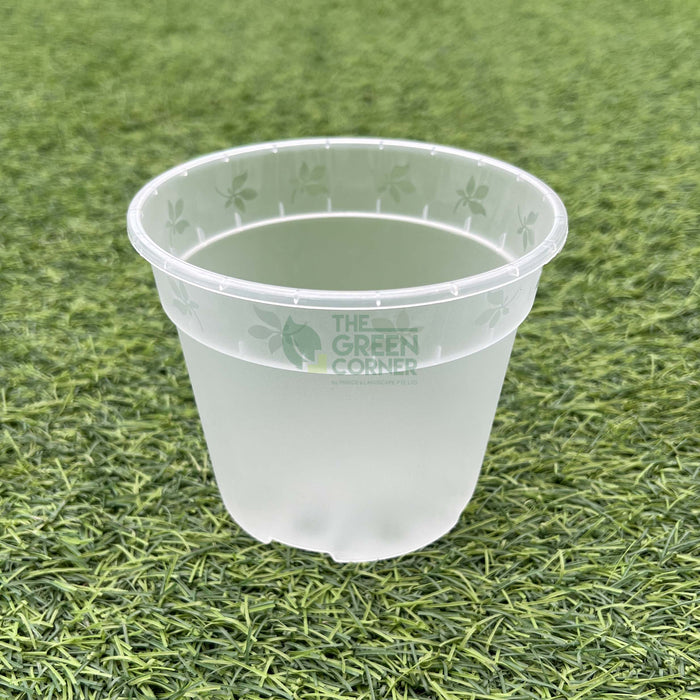 Transparent Pot (120mm) OCTO