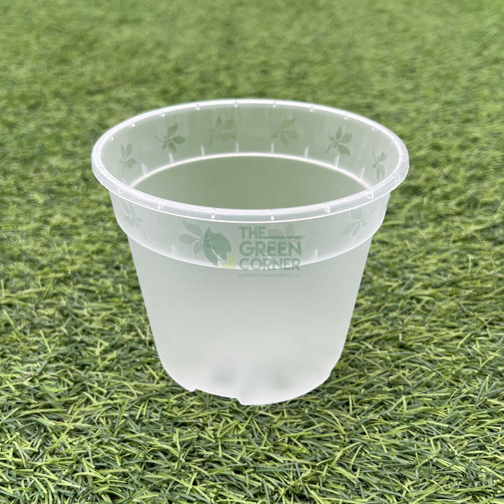 Transparent Pot (120mm) OCTO