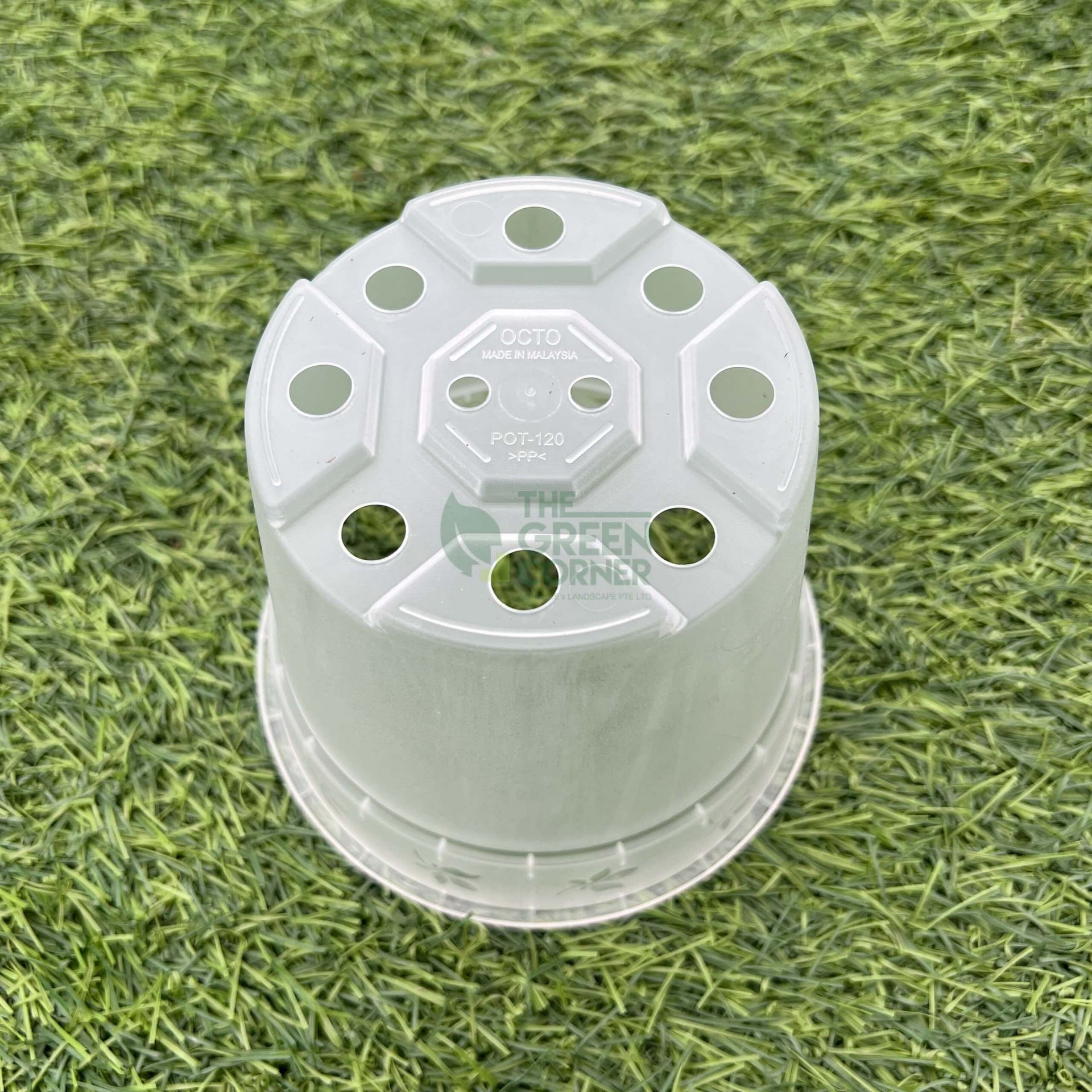 Transparent Pot (120mm) OCTO