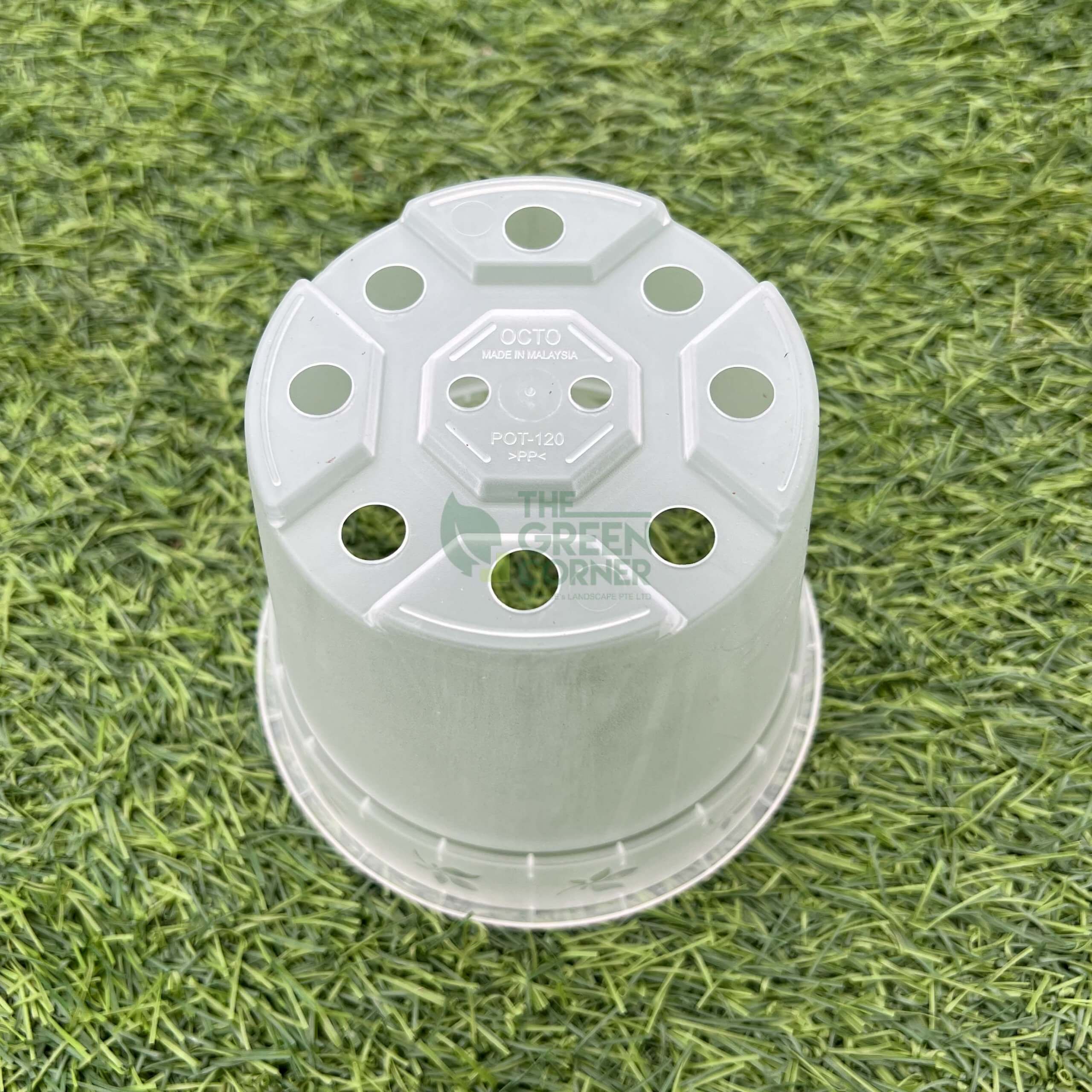 Transparent Pot (120mm) OCTO