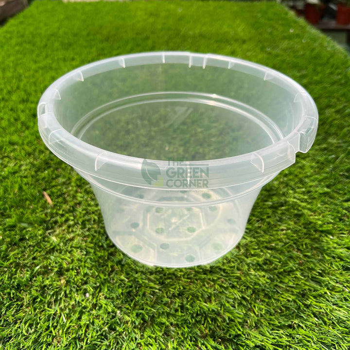 Transparent Pot (220mm) OCTO