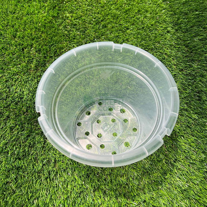 Transparent Pot (220mm) OCTO