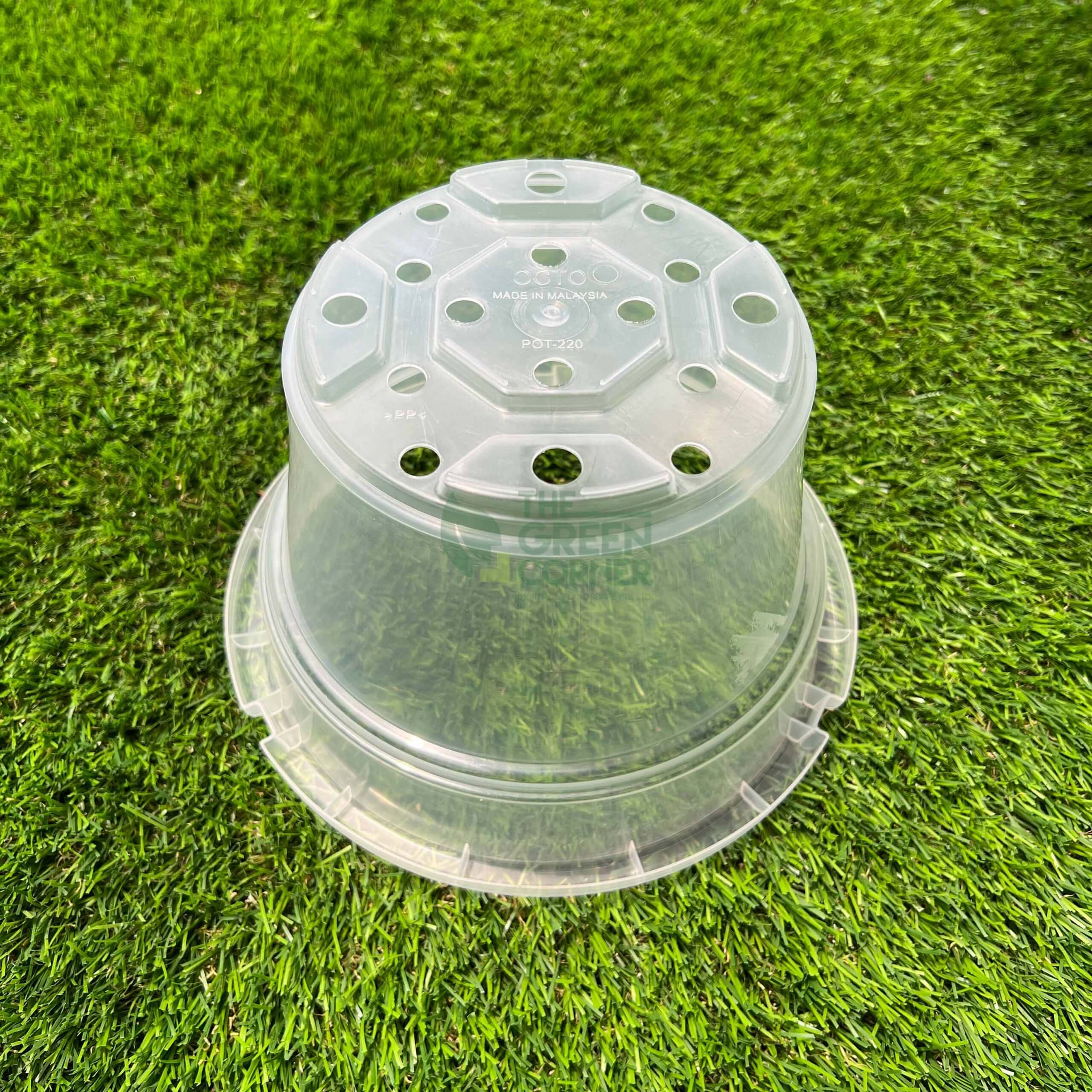 Transparent Pot (220mm) OCTO