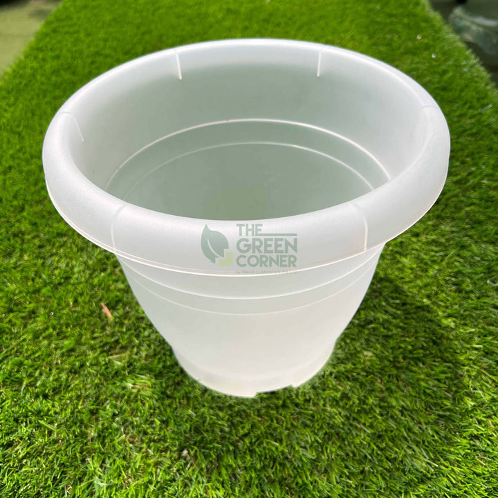 Transparent Pot (260mm) OCTO