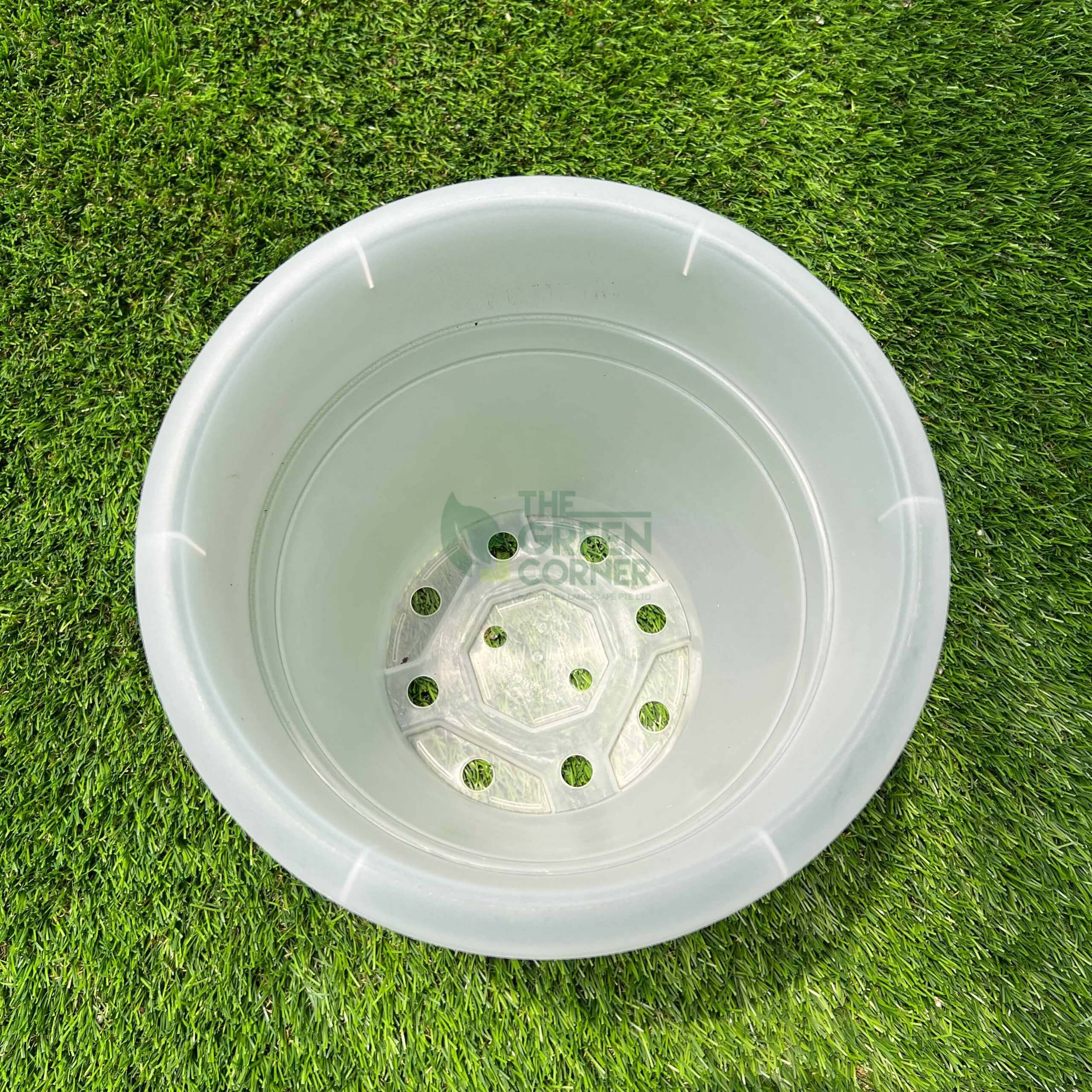 Transparent Pot (260mm) OCTO