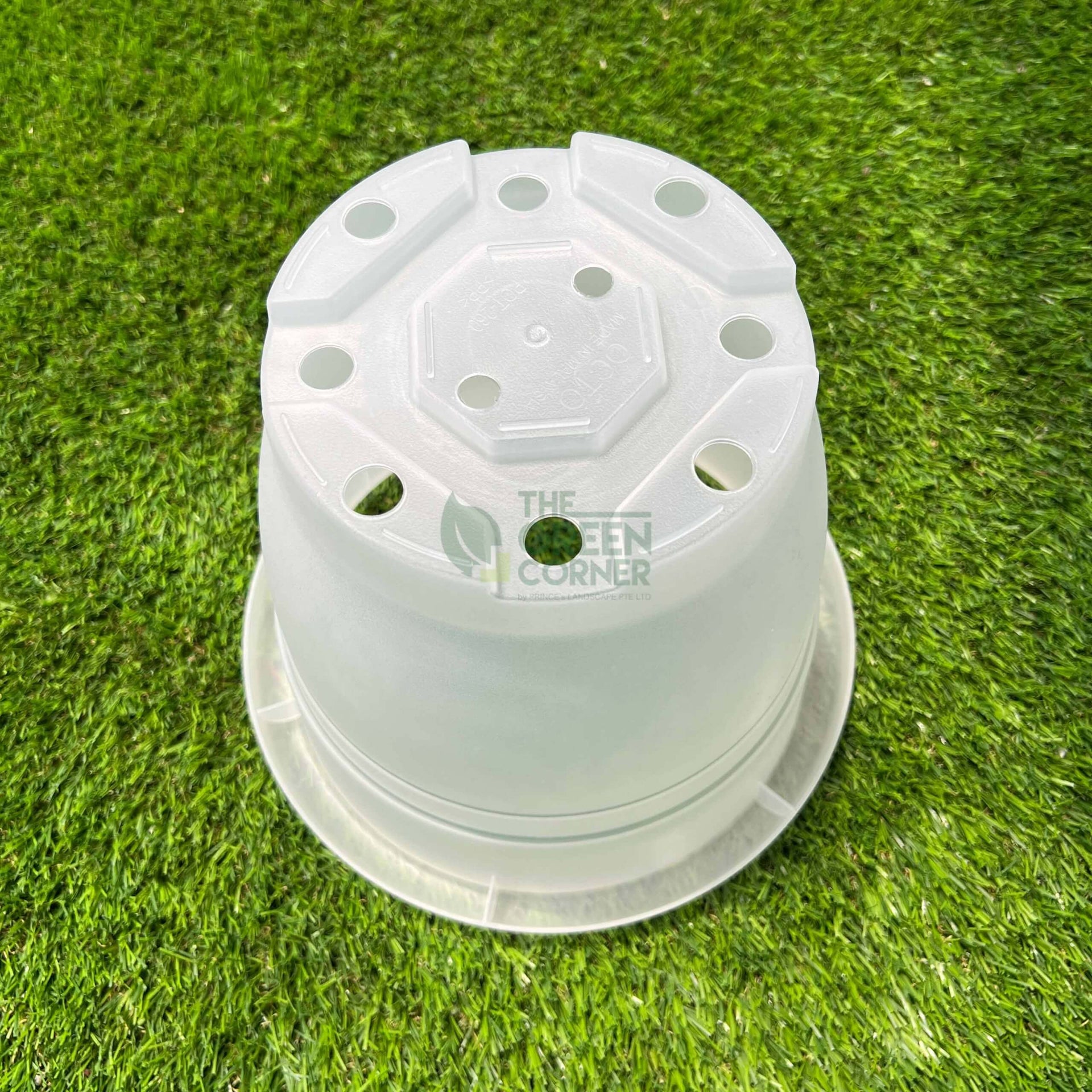 Transparent Pot (260mm) OCTO