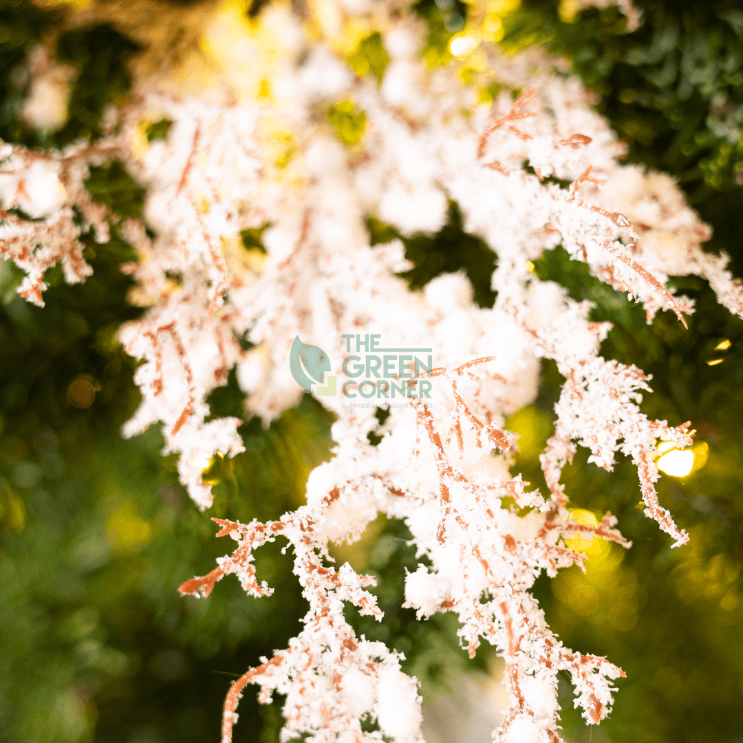 White Snow Branch