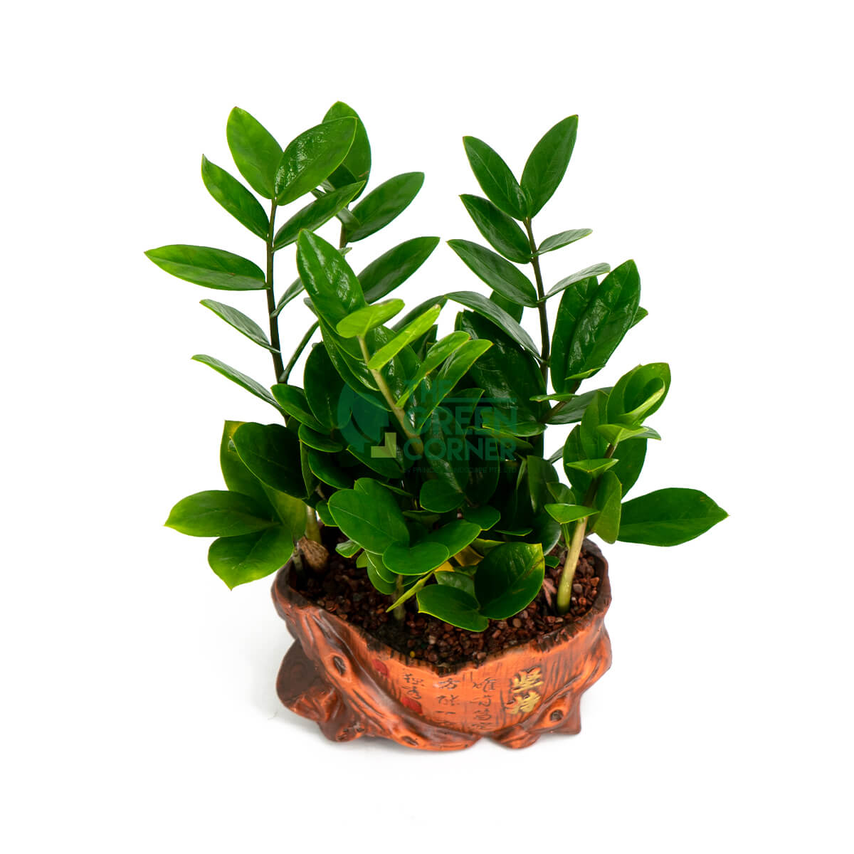 Affordable Chinese New Year Flower
