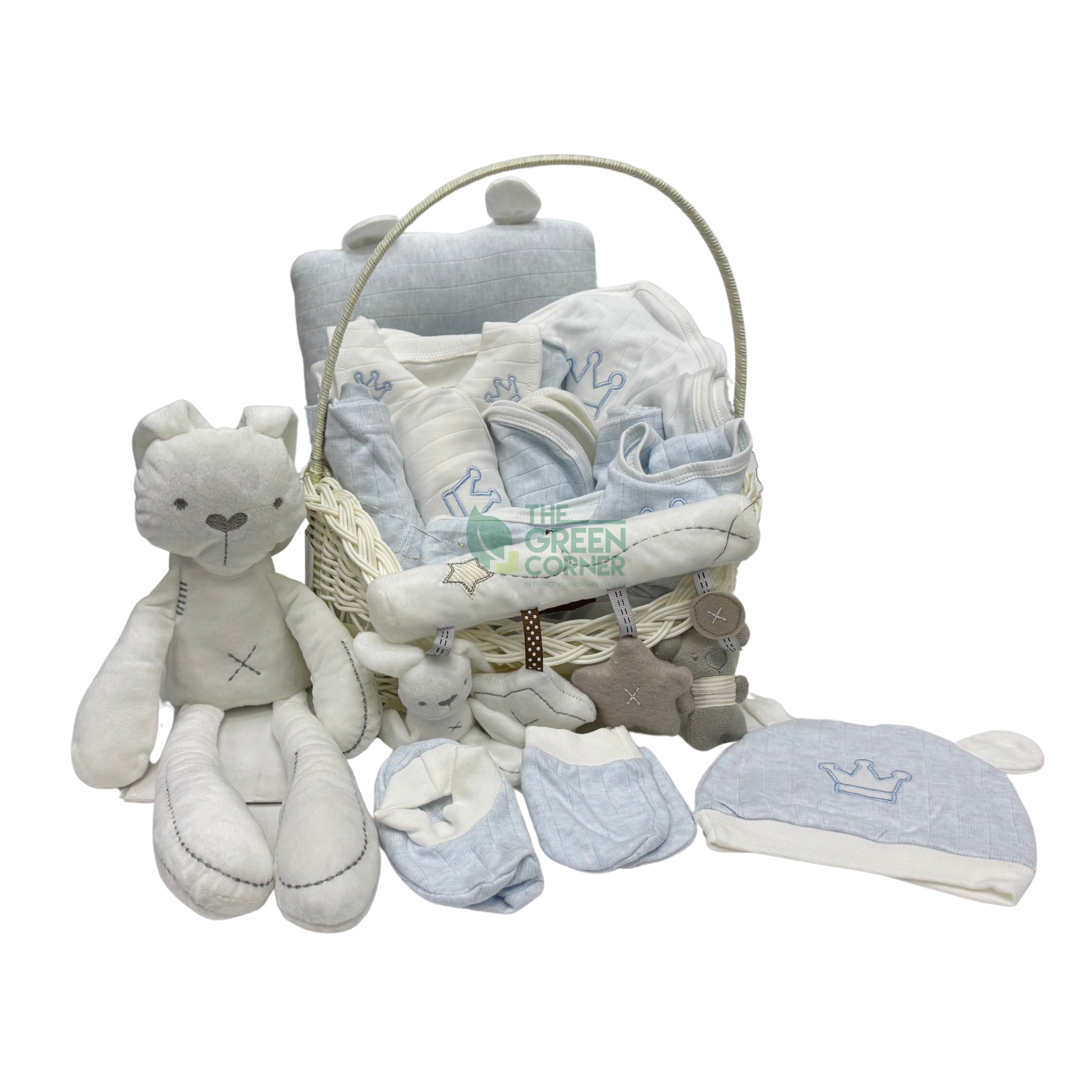 Little Sprout newborn baby boy hamper in a keepsake basket — The Green Corner Singapore
