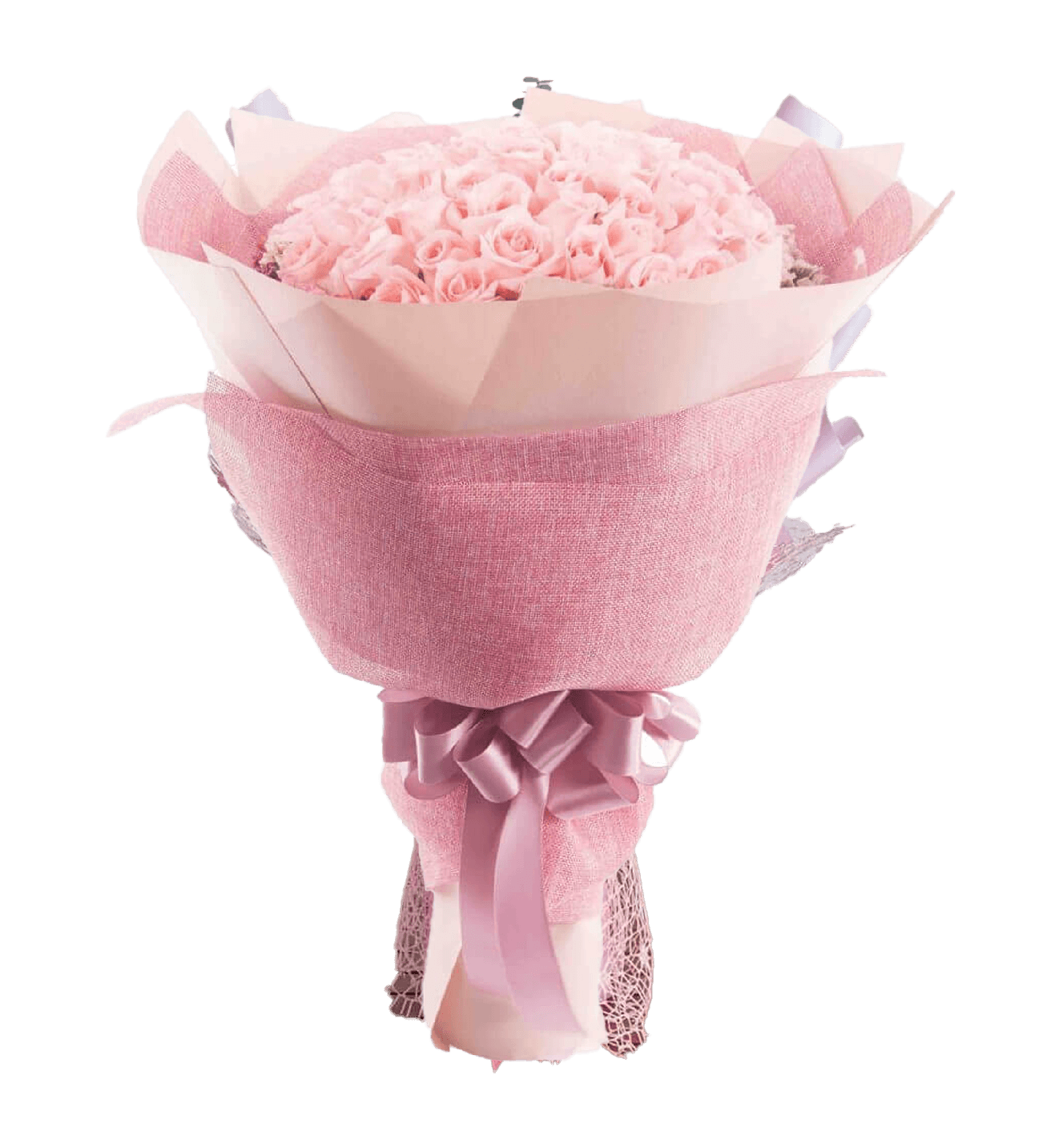 Cute Pink Rose