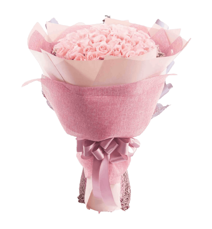 Cute Pink Rose