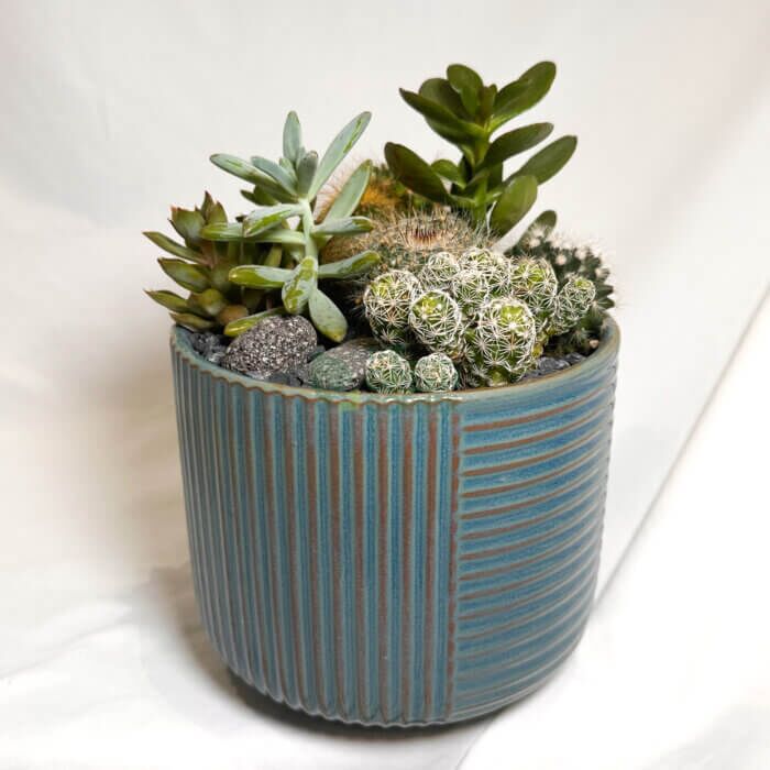 WM_CityDawn-1 City Dawn | Carpe Diem Collection - Image 1