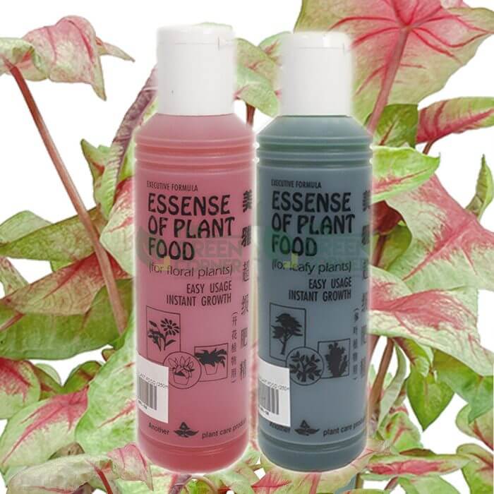 Essence of Plant Food