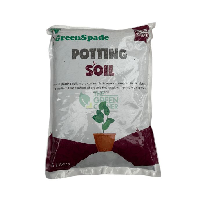 A variety of healthy potted houseplants in Singapore soil using peat moss, cocopeat, and compost — displayed at The Green Corner