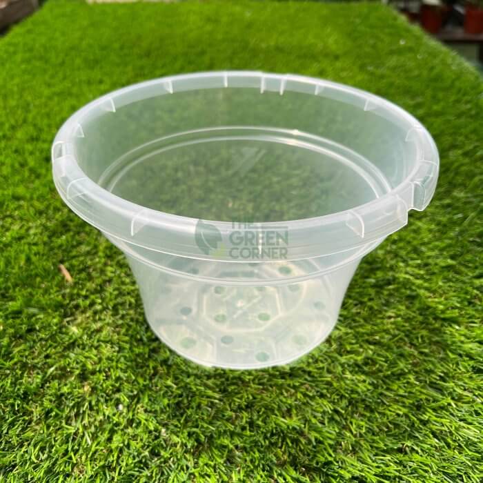 Transparent Pot (220mm) OCTO