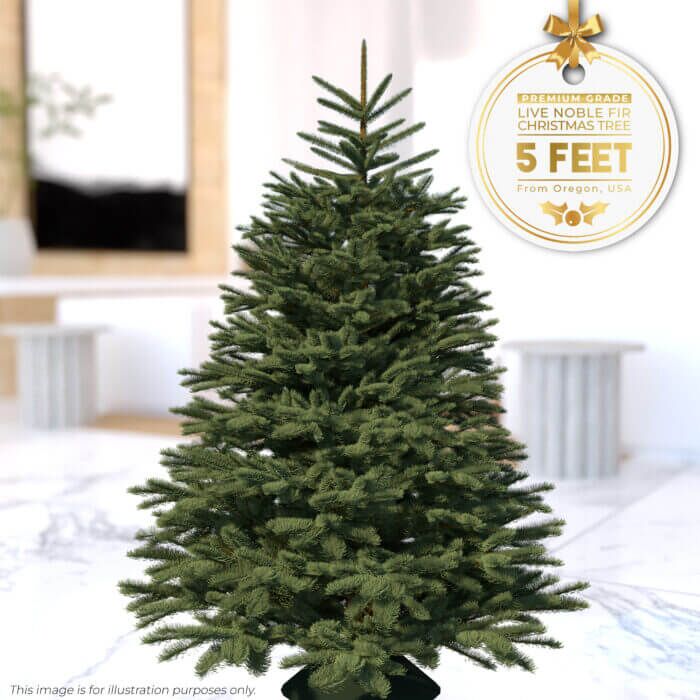 5ft Christmas Tree