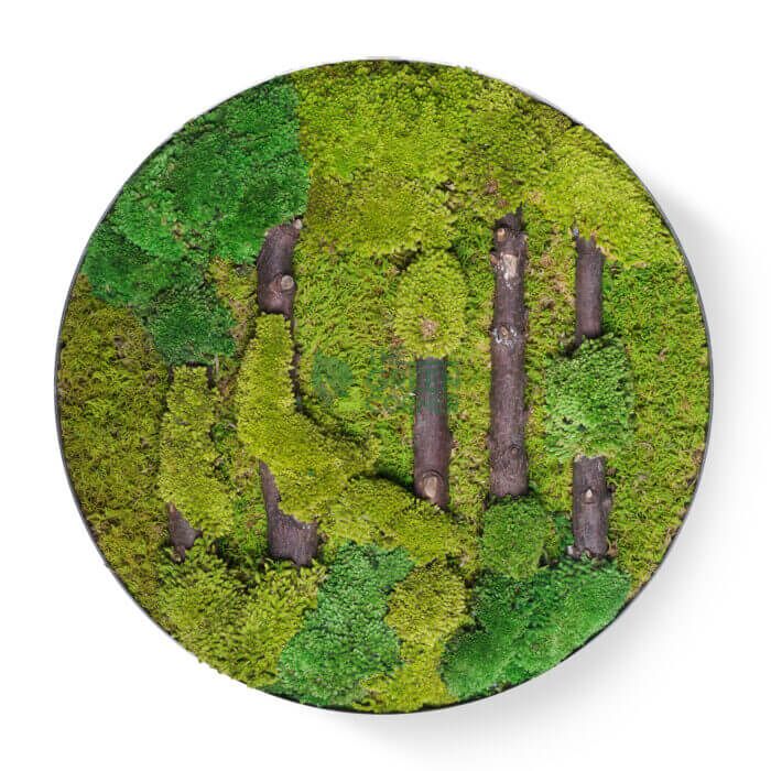 Verdant Woods 1 Verdant Woods