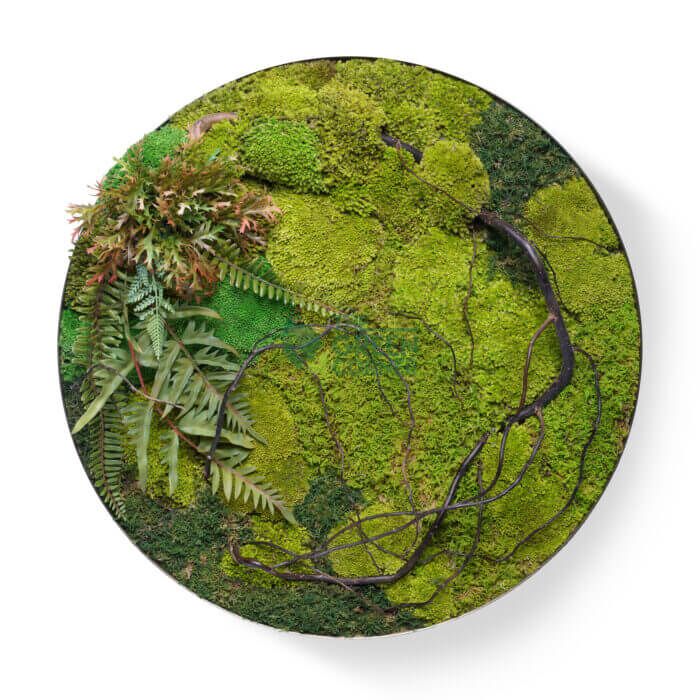 Tangled Thicket Moss Frame | Secret Garden Collection - Image 1