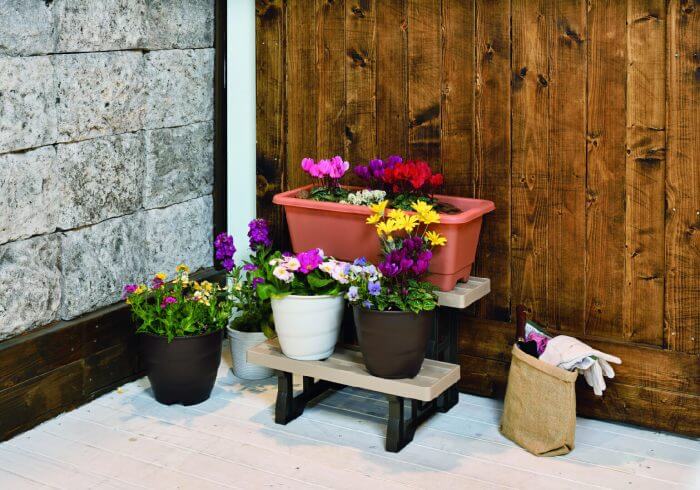 image-1 OGL Flower Stand 460 (Beige) - Image 2