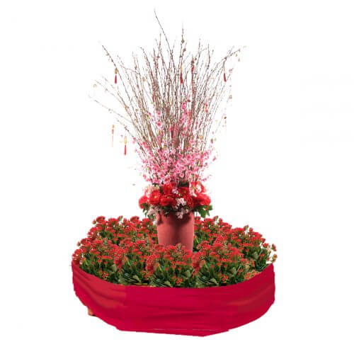 Attractive CNY Flowers 2022