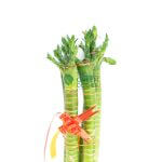 Attractive CNY Flower Decoration