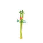 Attractive Chinese New Year Plants