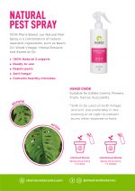 Shamrock Gardening Tools Set - Image 3