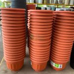 BABA NO. BI-2015 POT COTTA - Image 4