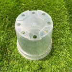 Transparent 150mm Pot