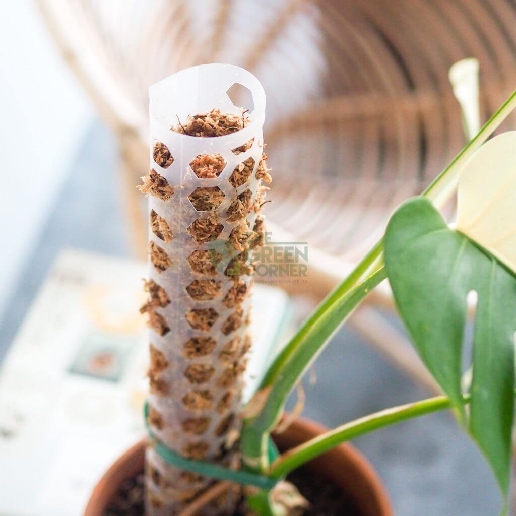 Our Gentle Garden Garden Pole 2.0