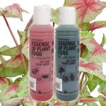 Essence of Plant Food