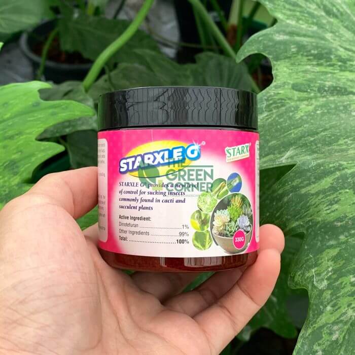 STARX Starxle G - Systemic Insecticide - Image 3