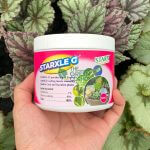 STARX Starxle G - Systemic Insecticide - Image 4