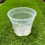 Transparent Pot (170mm) OCTO
