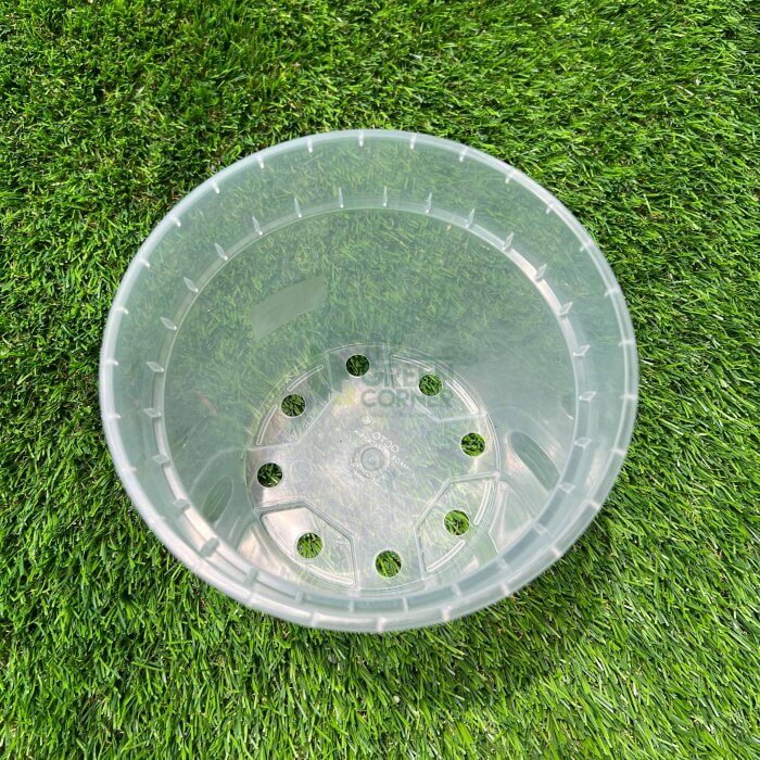 Transparent Pot (170mm) OCTO