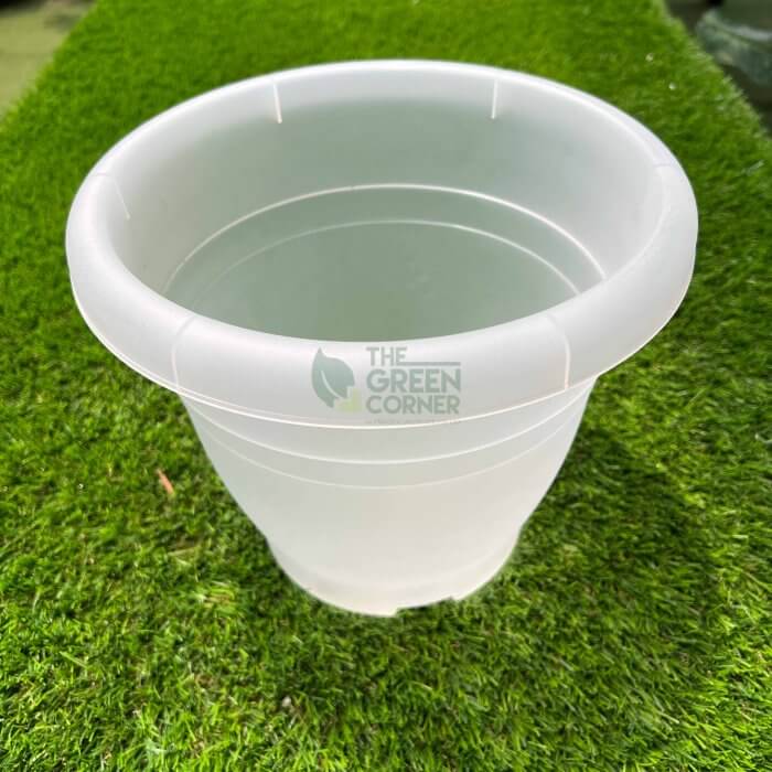 Transparent Pot (260mm) OCTO Transparent Pot (260mm) OCTO