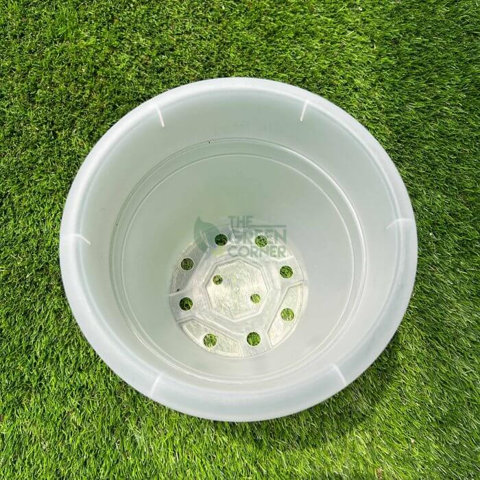 Transparent Pot (260mm) OCTO