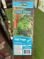 Fernwood New Zealand Tree Fern Totem_ Twin Pack