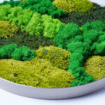 Greenwood Groves 1 Closeup