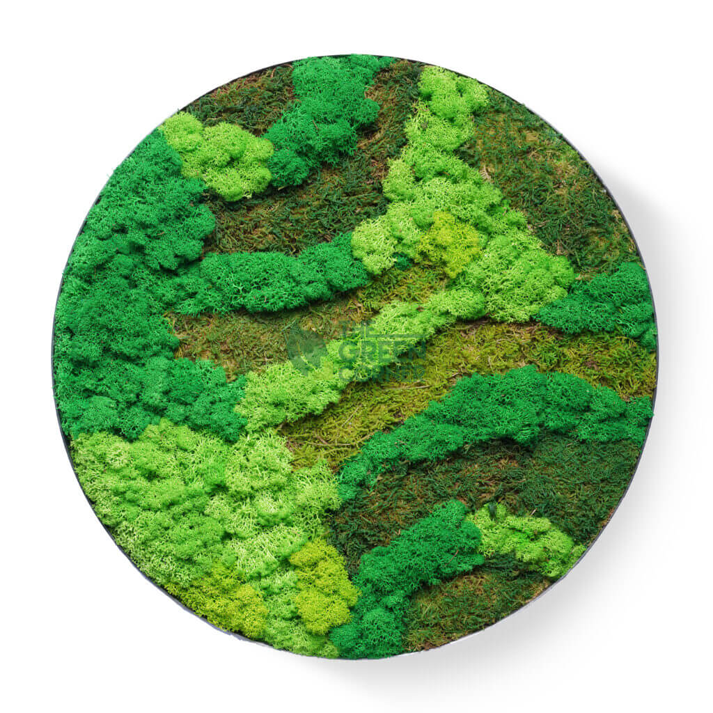 Greenwood Groves Moss Frame