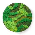 Greenwood Groves Moss Frame