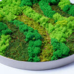 Greenwood Groves Moss Frame | Way Up High Collection - Image 4