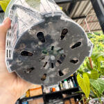 Anti Spiral Transparent Pots