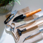 Succulent Kit Gardening Tools