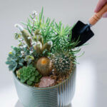 Succulent Kit Gardening Tools