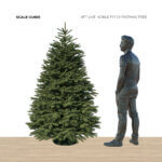 6ft Noble Fir - Premium Grade Live Christmas Trees from USA (Includes Loan of Tree Stand) - Image 2