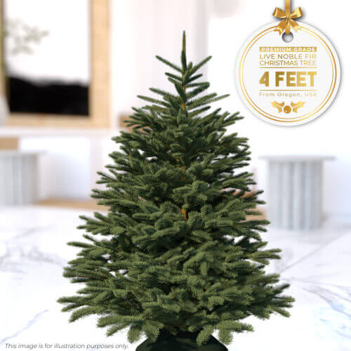 4ft Christmas Tree